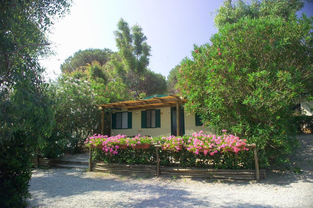 Acquaviva Village Camping ポルトフェッラーイオ 部屋 写真